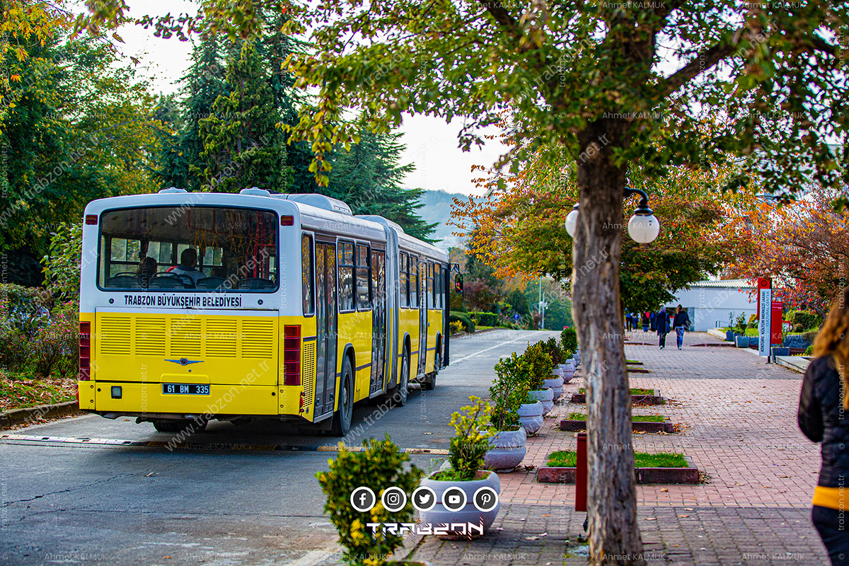 Trabzon Büyükşehir Belediye Otobüsü